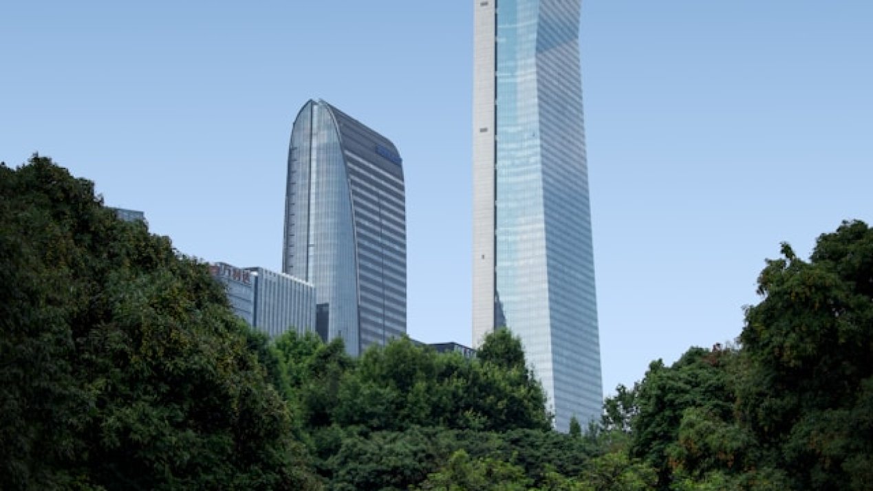 Leadership Perspectives on the Pathways to Sustainability