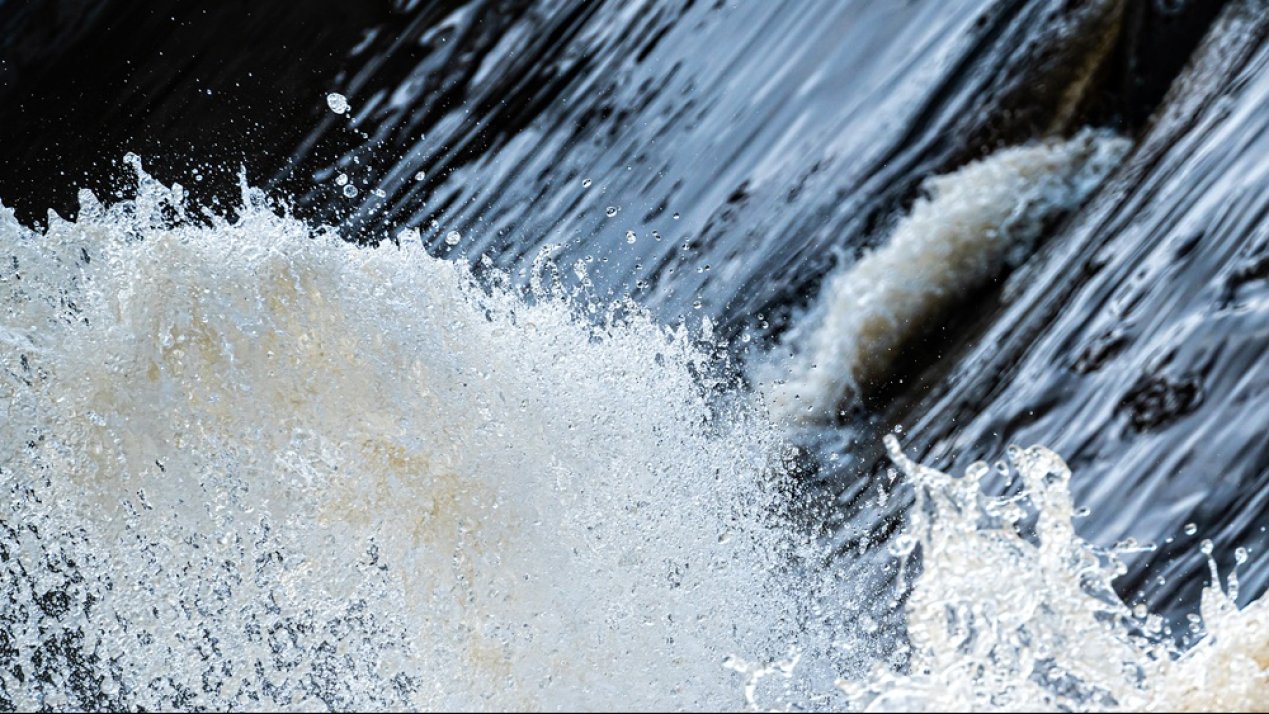 PINSA: First Company in Mexico to Neutralize Water Footprint