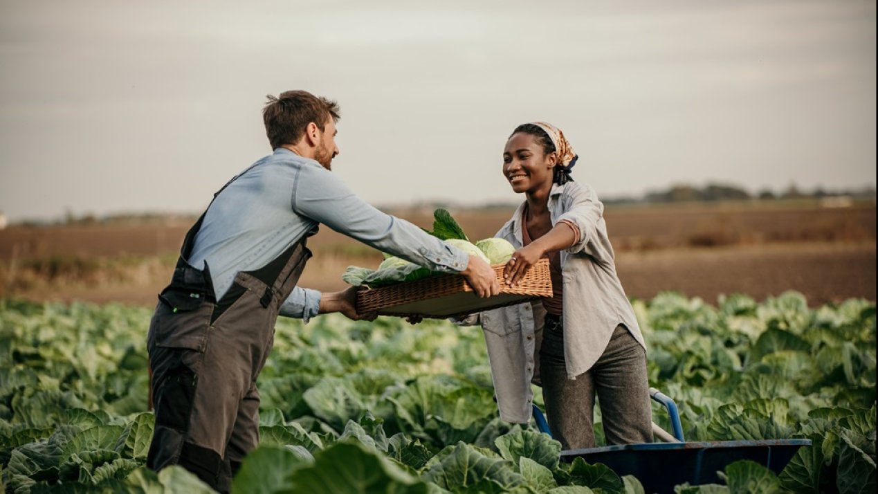 Mexico, Germany Advance Sustainable Agri-Food Systems