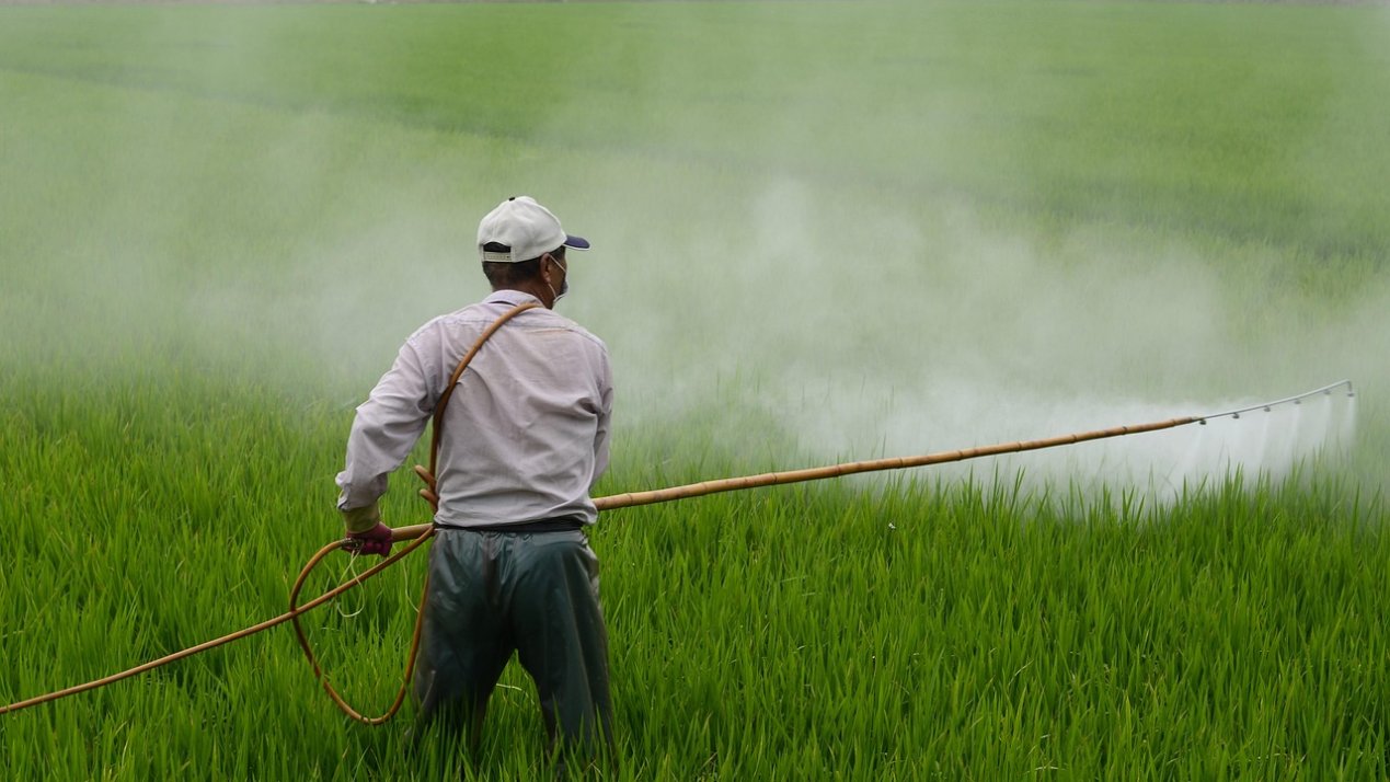 Mexico Bans 35 Pesticides to Protect Health, Agriculture