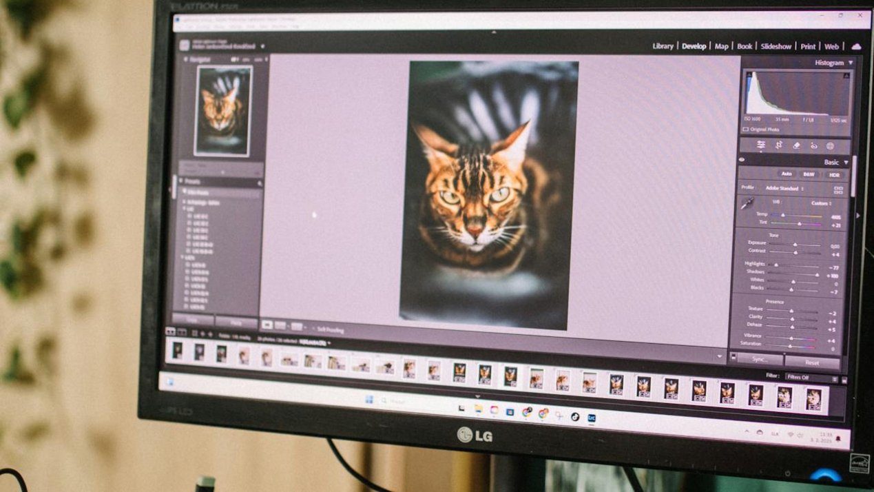 LG to Invest MX$3.5 Billion in New Queretaro Plant