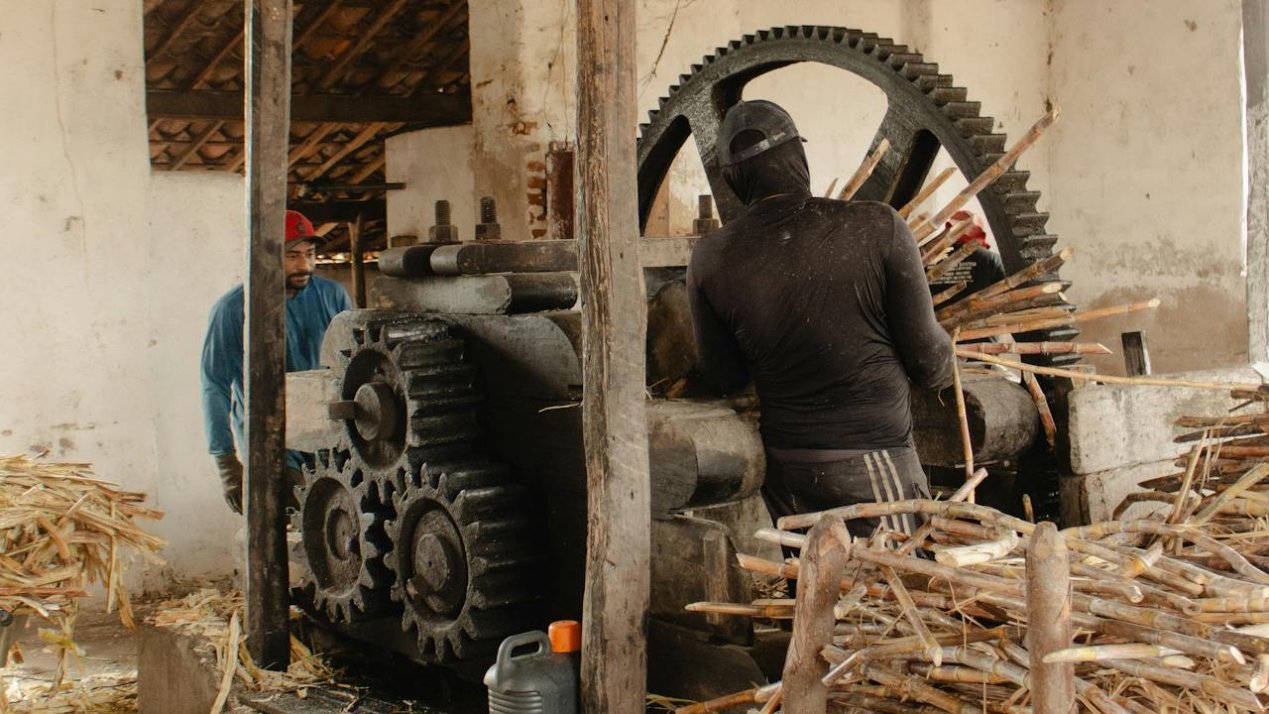 Veracruz Deputy Urges Sugar Mills to Adopt Sustainable Practices