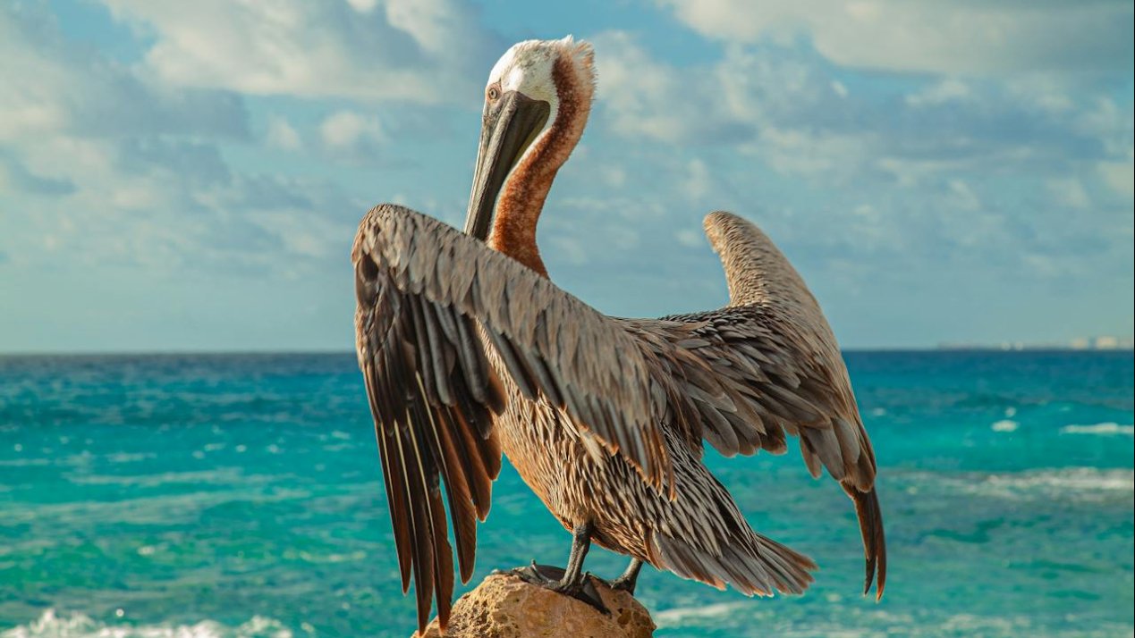 Cancun, Riviera Maya Lead Mexico in Hotel Development in 1H25