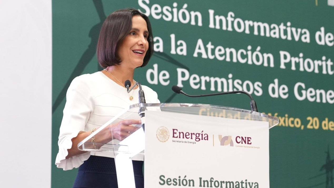 SENER Invites Private Investment for Power Generation