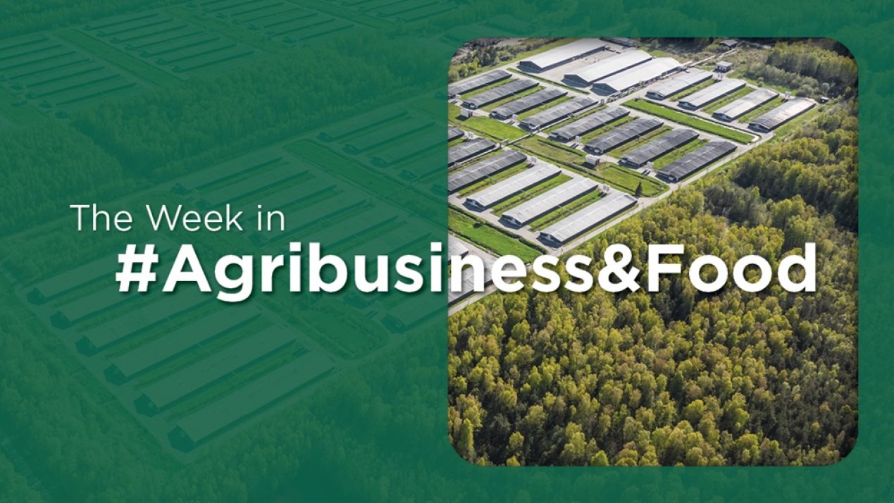 Taxes, Food Waste and Grain Production