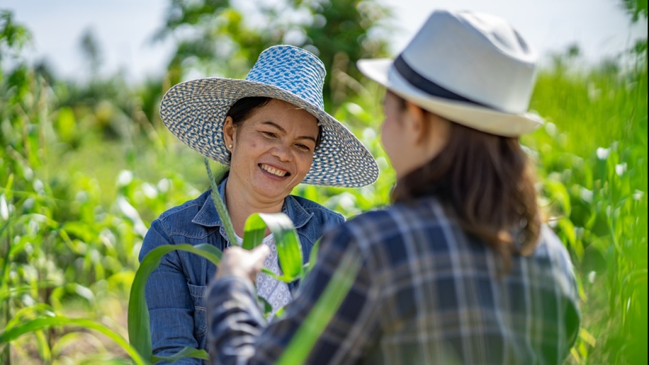 FAO Webinar Highlights Gender Equity in One Health Approach