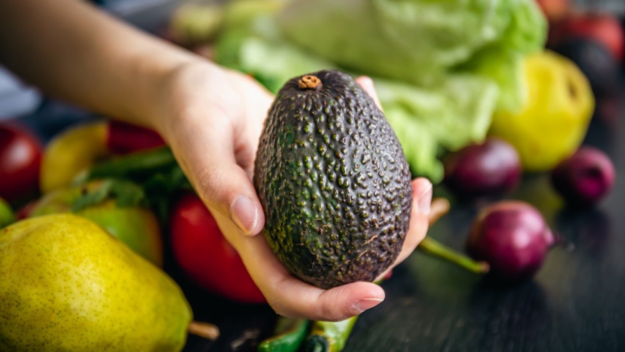 Mexico Enacts Rules to Ensure Sustainable Avocado Exports