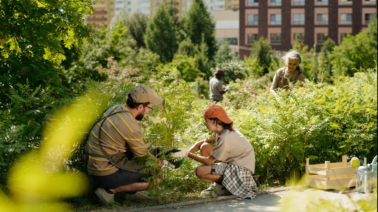 Mexico City to Strengthen Urban Ecosystem Conservation