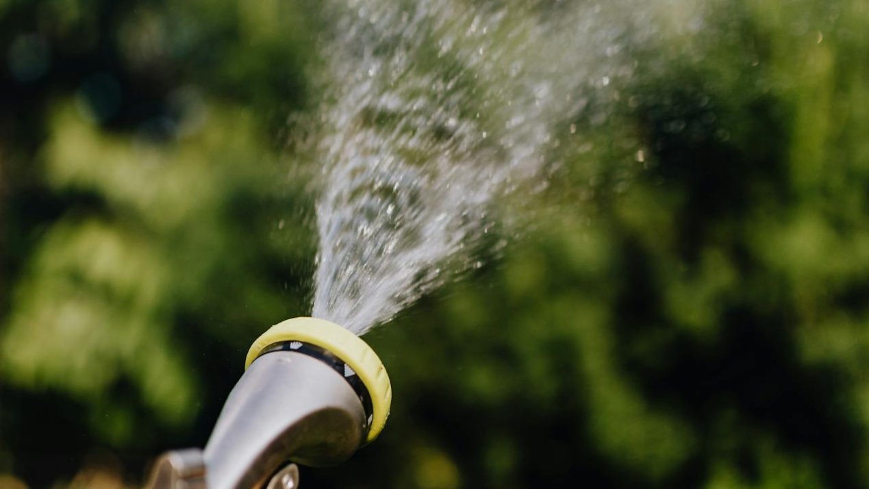 Daye Opens US$300 Million Manufacturing Plant in Nuevo Leon