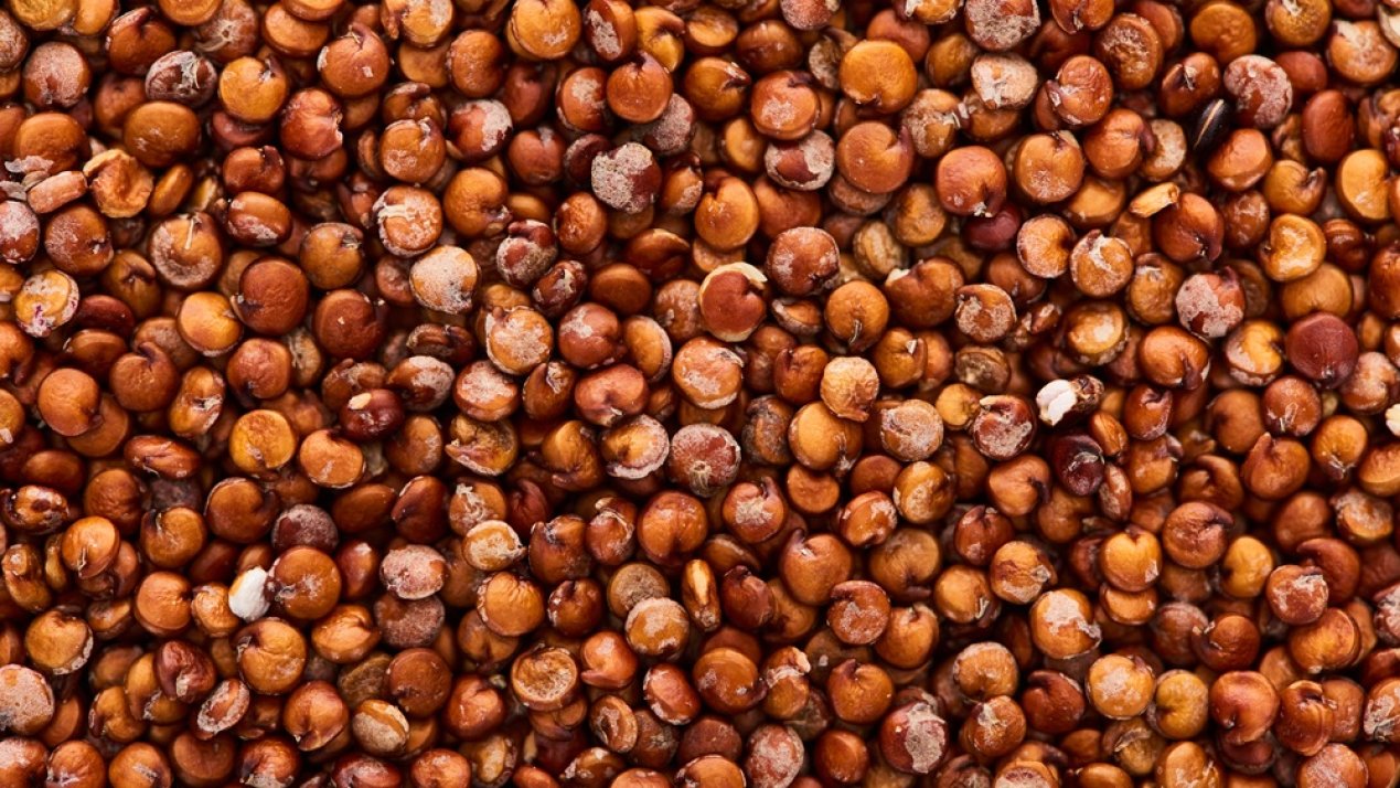 Sinaloa Expands Agricultural Exports to China, Japan