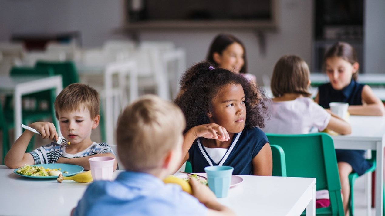 Vegetable-Based School Menus Can Cut Environmental Impact