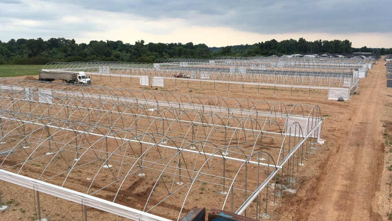 UPL Commits $1.5 Million to Advanced Greenhouses in Coahuila