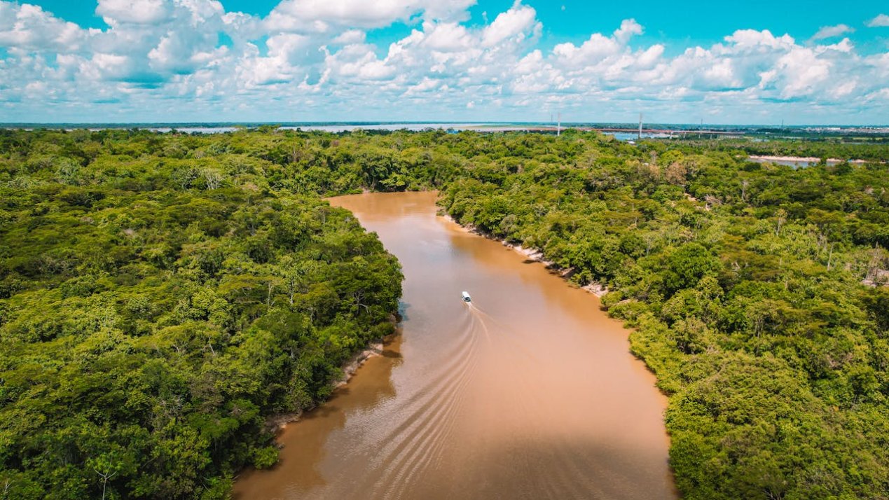 COP30 Nations Demand Funding Amid US Absence, Germany Cuts
