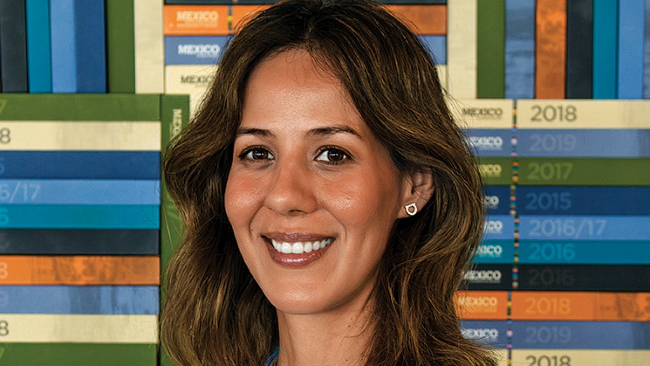 Education, Local Support Elevate Mexican CRM Understanding: CDN