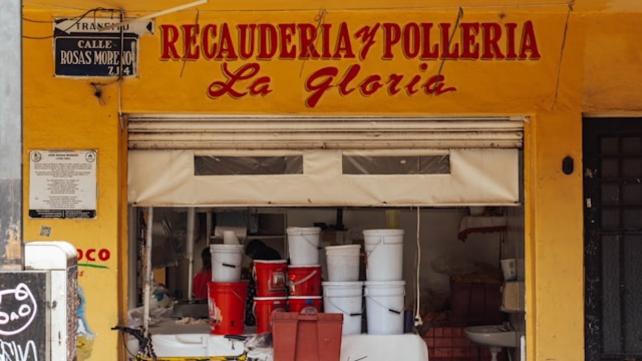 OIT Warns Labor Resilience Faces Structural Limits in 2025