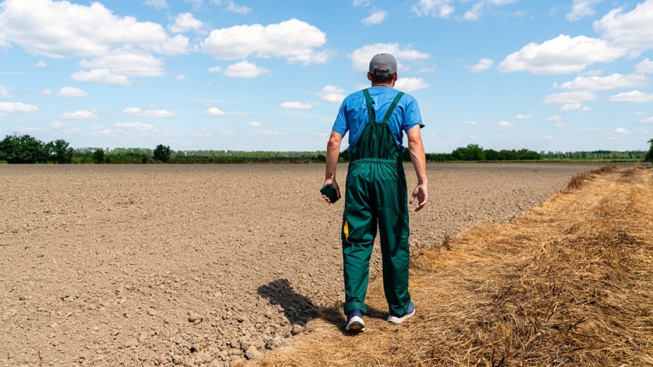 Mexican Farm Output Declines as Insecurity and Costs Escalate
