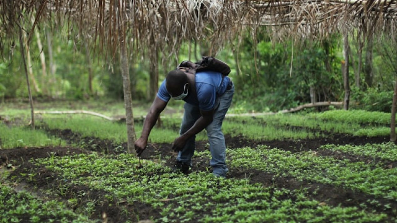 World Bank Puts Jobs at Center of Global Growth Strategy