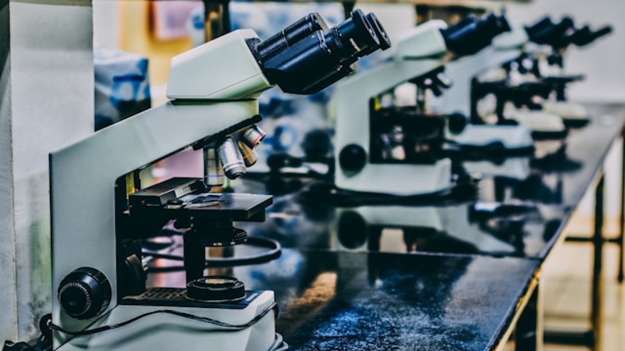 COFEPRIS, INSP to Strengthen Research and Training in Healthcare