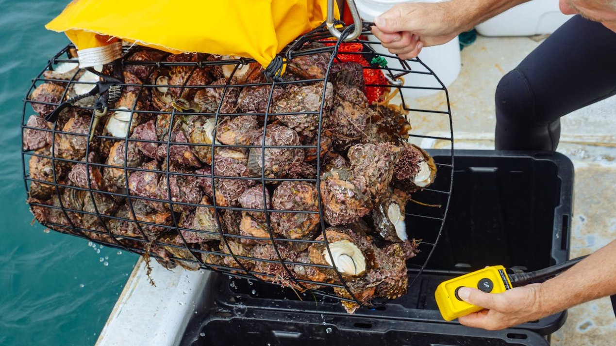 Northwest Mexico Stakeholders Commit to Stronger Fisheries Action