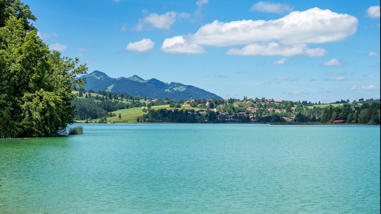 Lago de Texcoco Advances as a Major Restoration Project