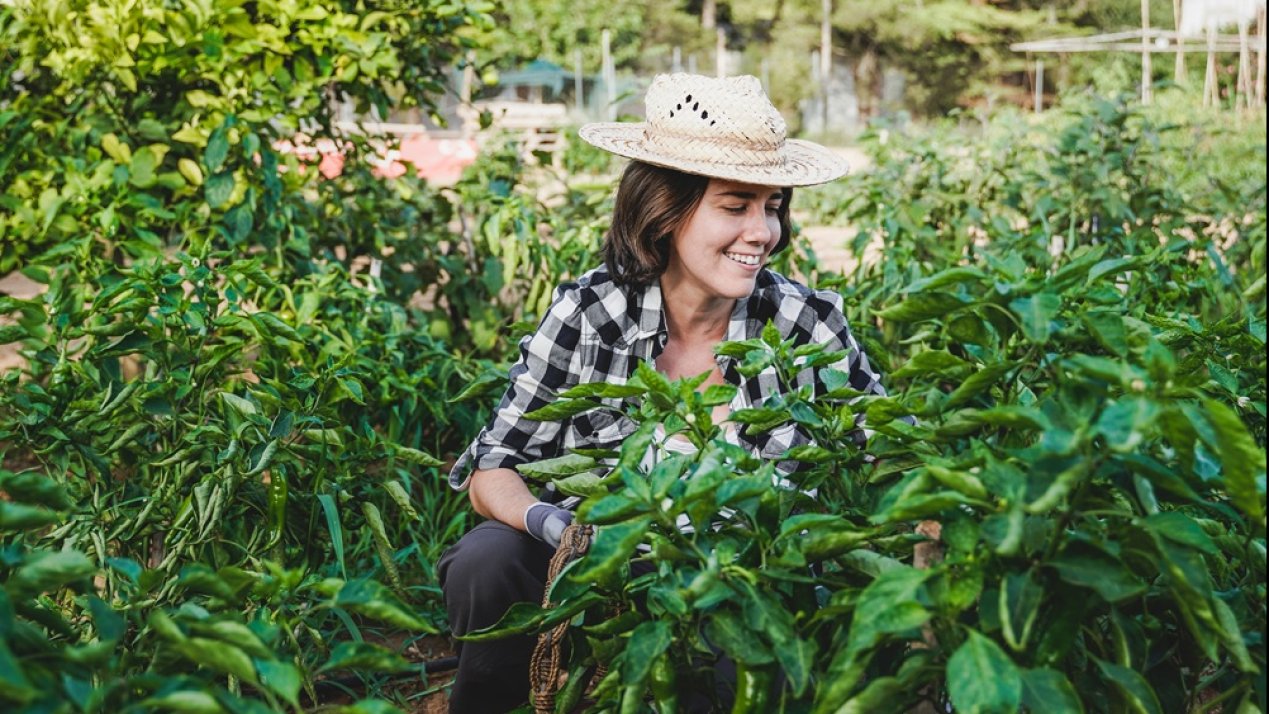 FAO Names 2026 International Year of Women Farmers