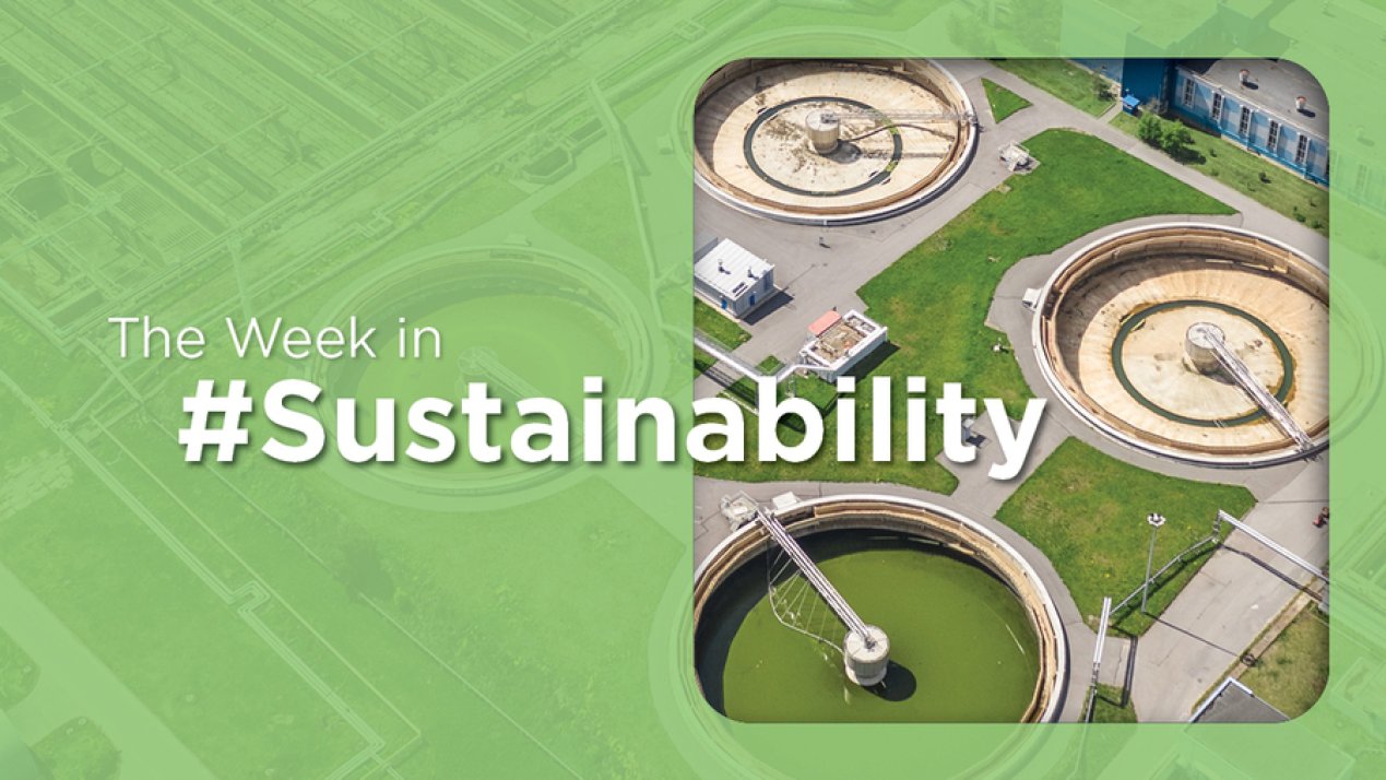 CONAPESCA Pushes Sustainable Aquaculture in 2025