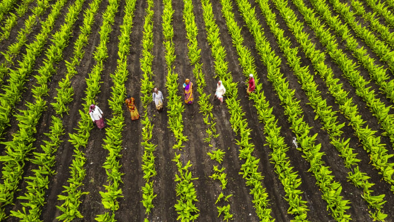 Agriculture Program Benefits Two Million Rural Producers in 2025