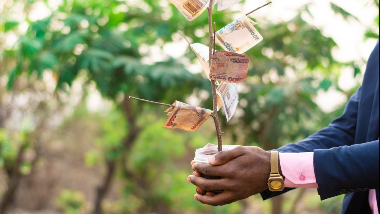 Mexico Updates Sovereign Sustainable Finance Framework 