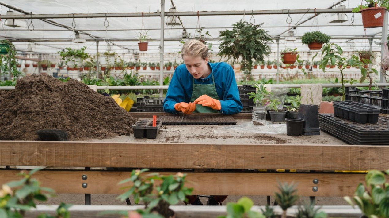 UPL Opens US$1.5-Million Sustainable Greenhouses in Coahuila