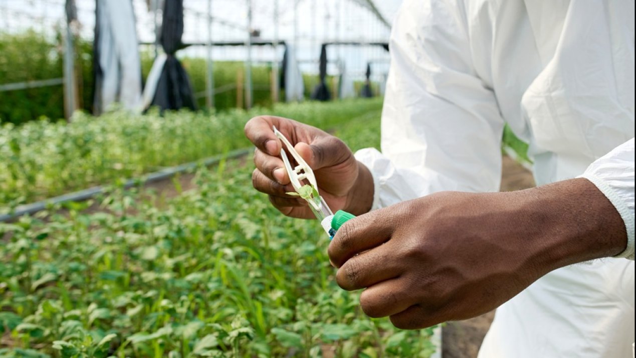 BASF Acquires AgBiTech to Expand Biological Crop Protection