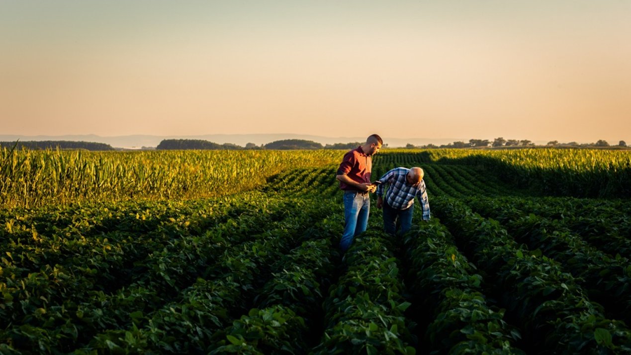 The Year in Agribusiness: Mexico’s Agrifood Sector in 2025