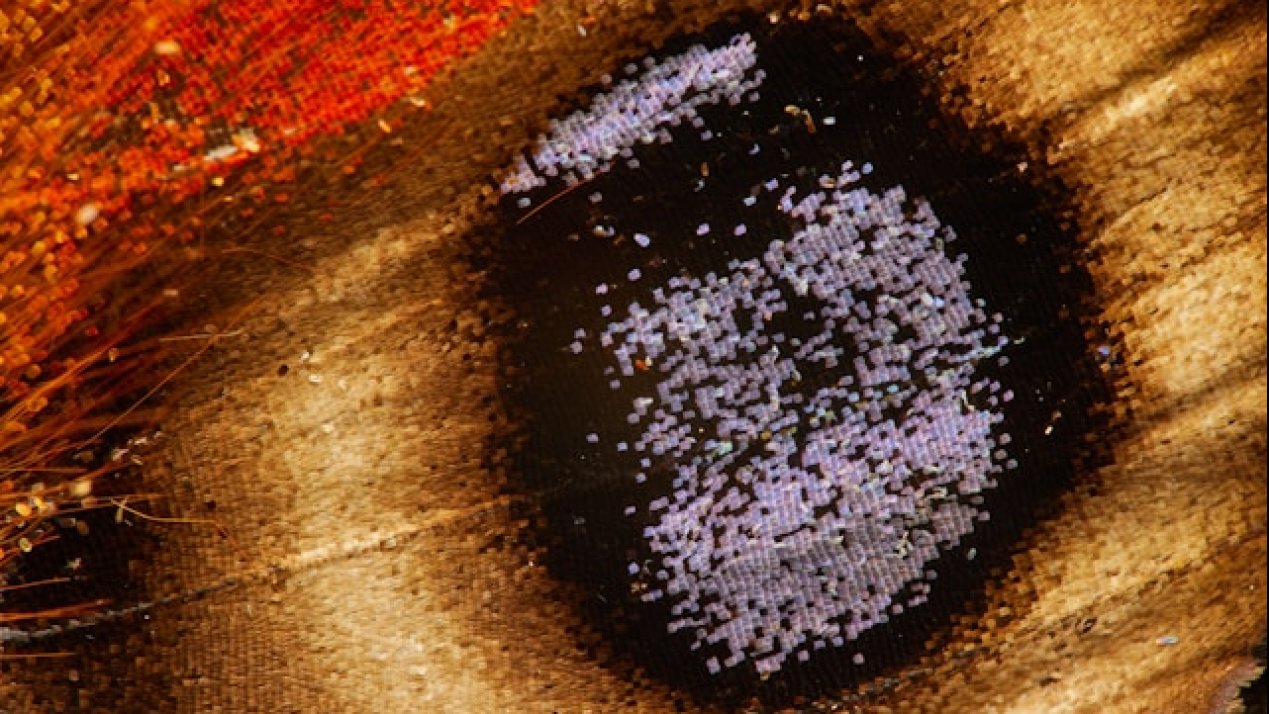 Trachoma at Risk Population Drops 94% Since 2002