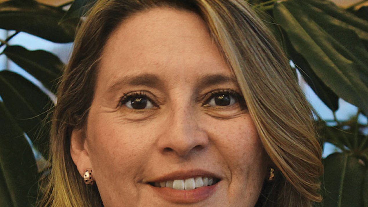 Mexico’s Climate Goals: The Role of Sustainable Finance