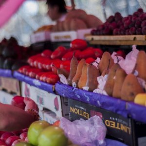 Threats to the Food Supply Chain 