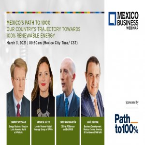 Flexible Energy, Natural Resources Key in Decarbonization