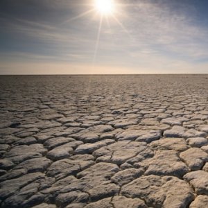 Water Crisis to Worsen in Near Future: Rotoplas