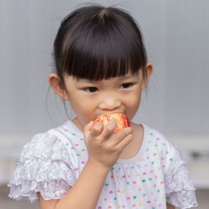 Mexican Companies Lead in Food Safety Standards 