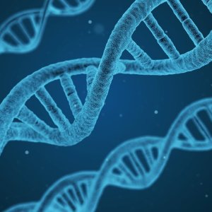  General Health Law Reform, AMR and Chatbot Therapy