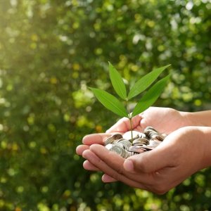 Mexico's Sustainable Finance Panorama: Highlights From 2022