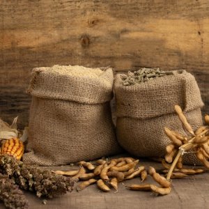 Mexico's Grain Imports Surge Amid Record Low Production