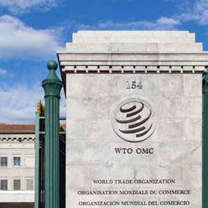 China Requests WTO Panel on US EV Subsidies Dispute