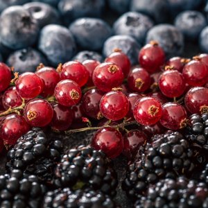 Mexico's Berry Sector Thrives With Record Production