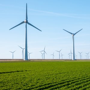 IEA Leads the Way in People-Centered Energy Transitions