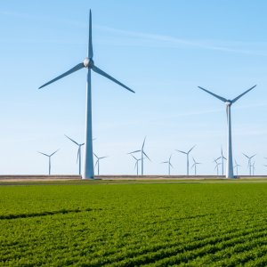 IEA Launches Global Commission on Energy Transitions