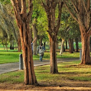 Mexico City Exceeds Green Transformation Goals: SEDEMA