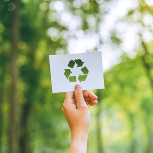 Green Taxes, Recycling Triumphs, and Net Zero Standards