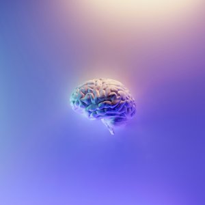 Mexican Senate Review Bill to Regulate Neurorights, Neurotech 