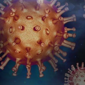 Colorado Reports First Human Avian Flu Case Amid New Strains