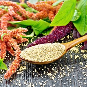 Mexico Chosen as FAO Demo Country for Amaranth Value Chain