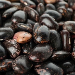 Drought, High Temperatures Slash Mexico's Bean Production in 2023